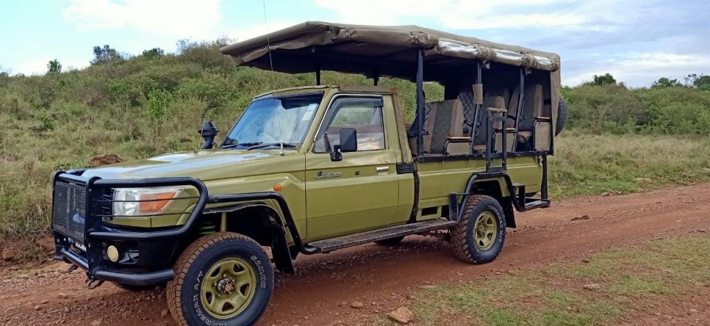 Pickup Truck